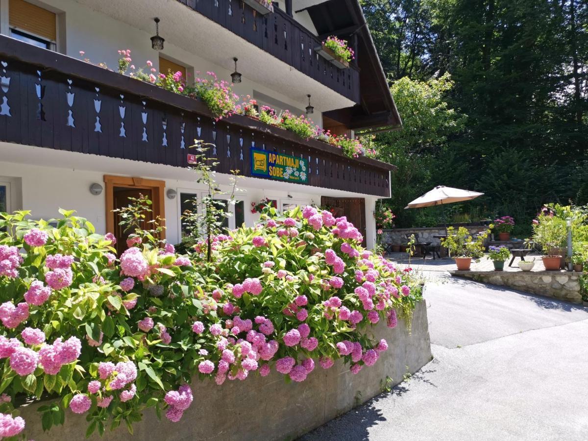 Accommodation Destina, Lake Bohinj Extérieur photo